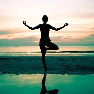 Meet your Posher, Ayn